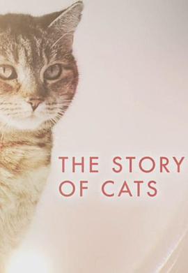 猫科动物的故事