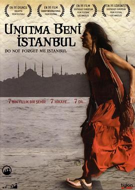 伊斯坦布尔，请不要将我遗忘